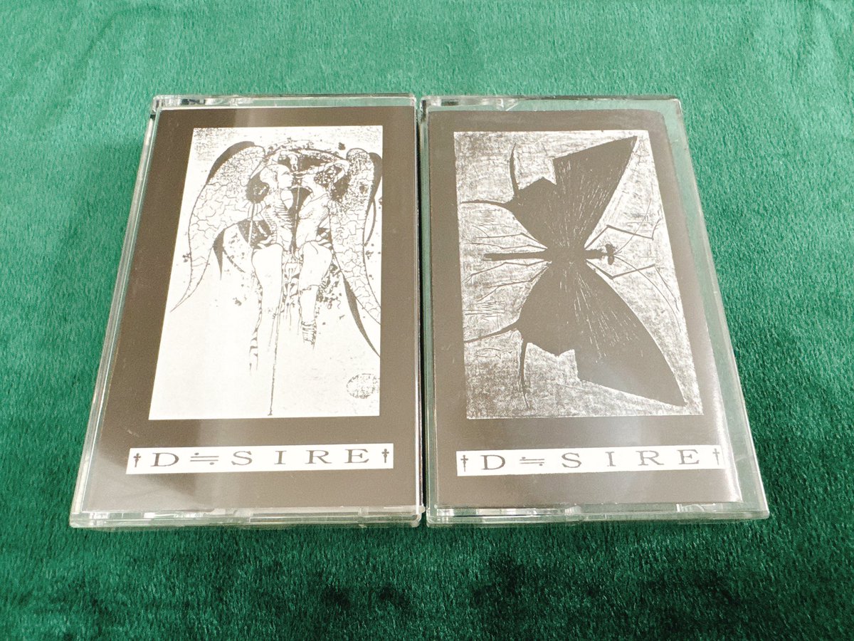 ピュアサウンドでの今回のお目当ては、 ・D≒SIRE ・JILS ・kαin …の