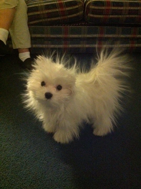 onfjoa's tweet image. 닮으심