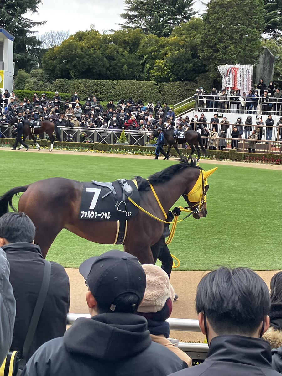 kun7sedm's tweet photo. ヴァルツァーシャル頑張ったね〜〜！！！君のその末脚が大好きだよ🥰🥰 https://t.co/YvpKtq6YRR