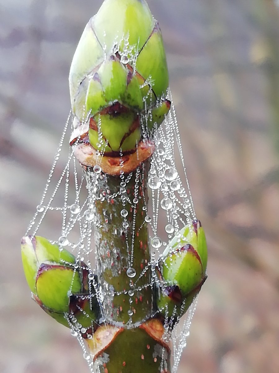 EnLucht's tweet image. Van klein naar groot.