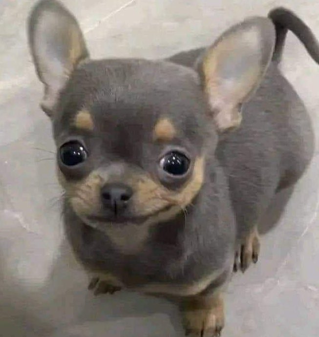 myfirstloveone's tweet image. เติ้ม555555555555555555555555555555555555555555555555555555555555555555555