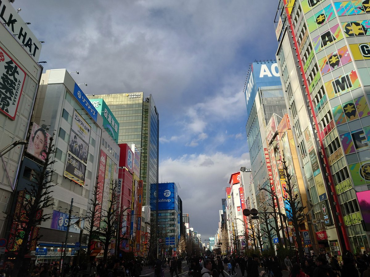 GANP2011's tweet image. そして秋葉原へ
ホコ天だと歩きやすい