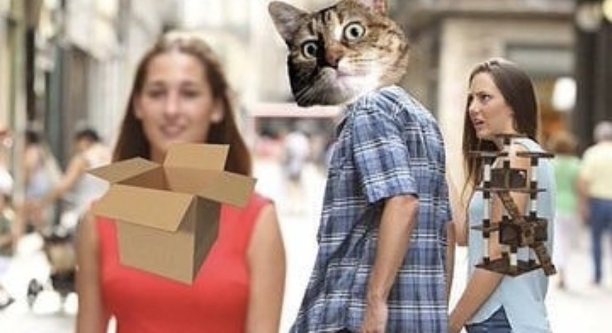 catshouldnt's tweet image. 