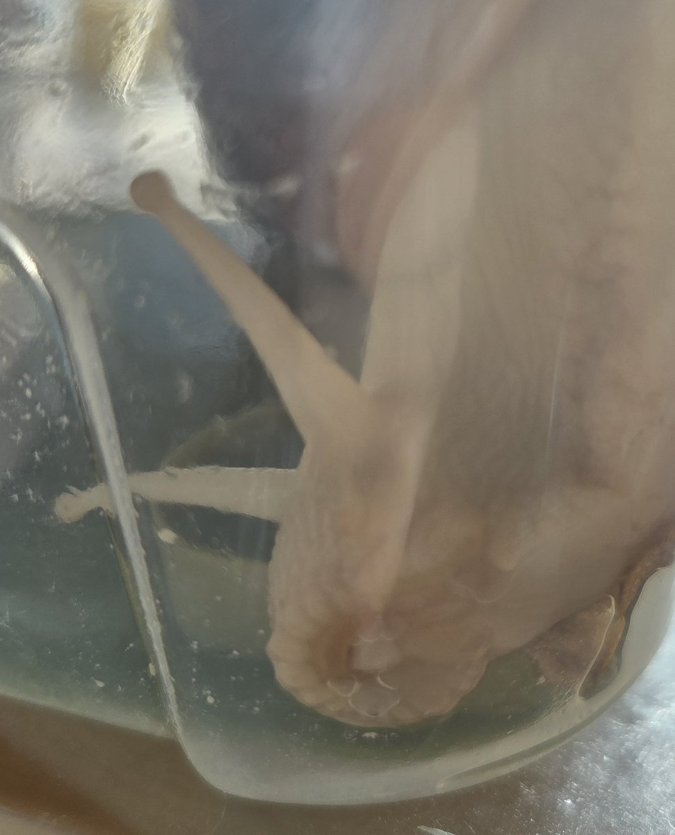 꾸꾸 주둥아리 뭔데-!!!