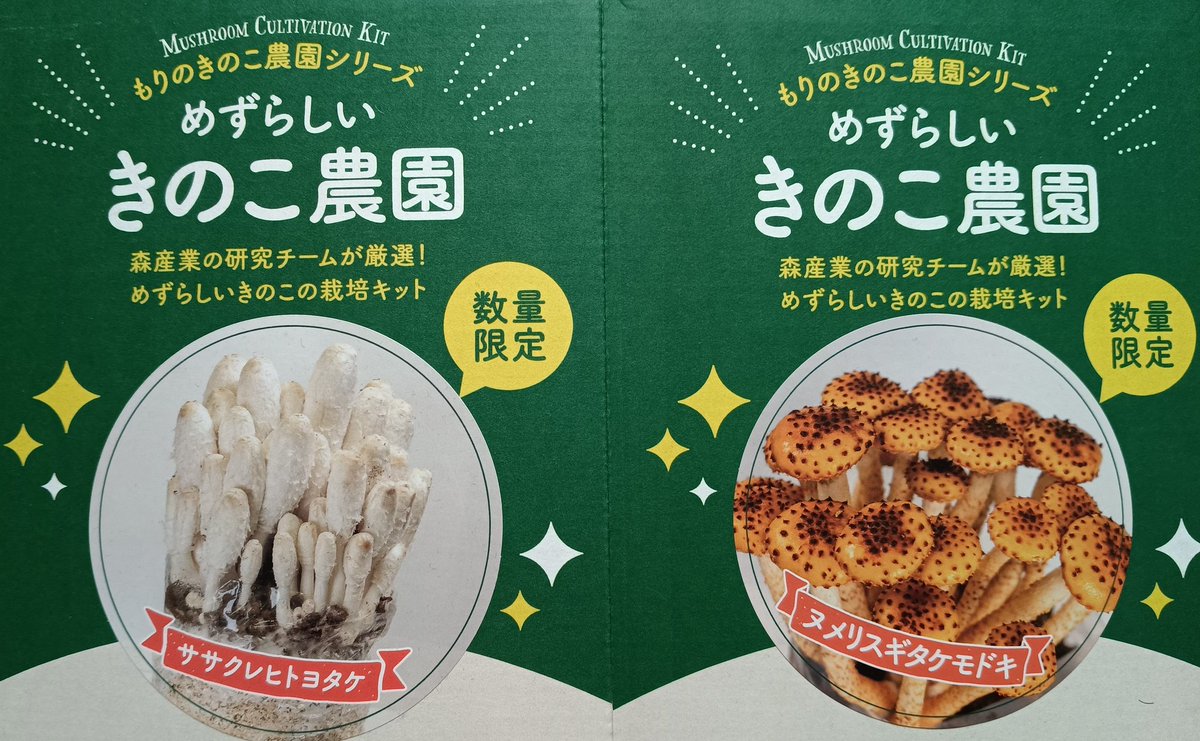 自家栽培ヌメリズギタケモドキと茸たくさん汁と化物みたいになってる
