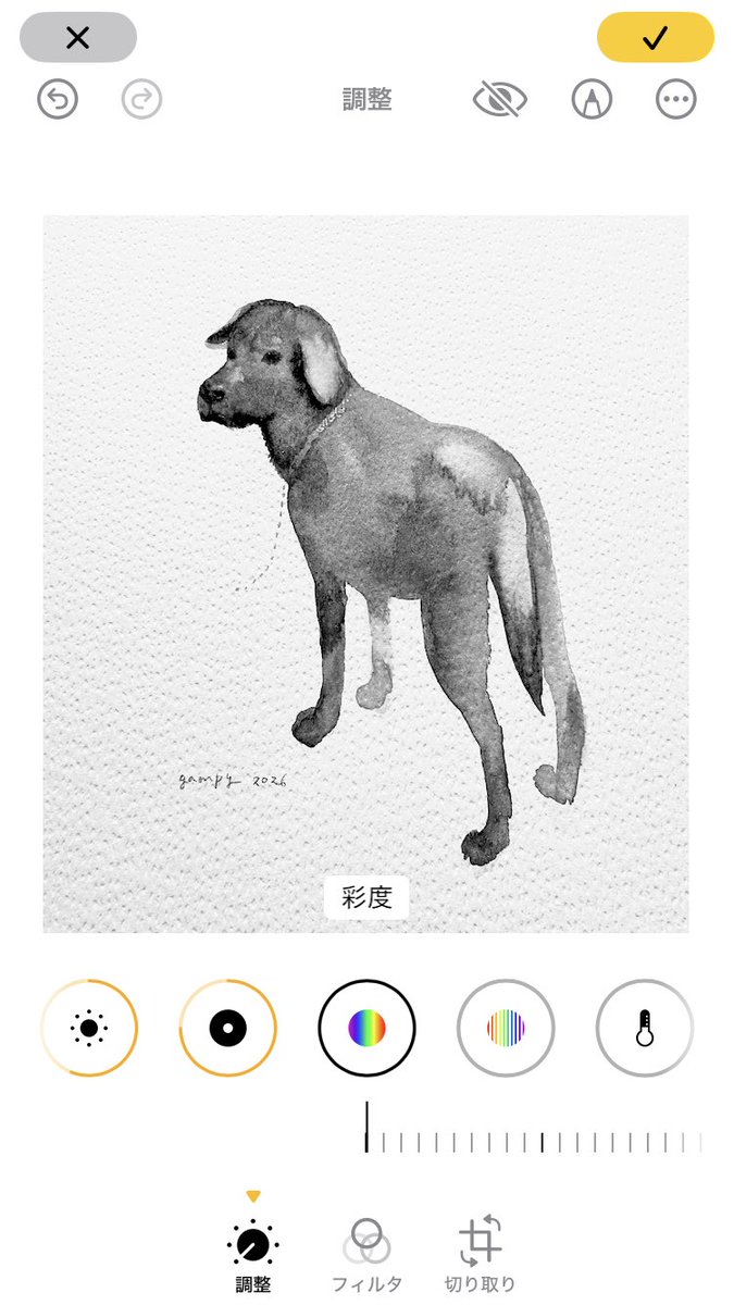 こゆことー 