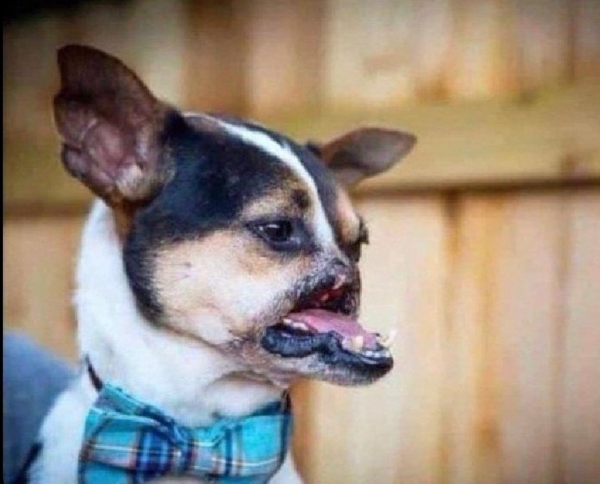 And you are politically grandstanding about it , you must be ashamed of yourself <a href="/nickmangwana/">Nick Mangwana</a>