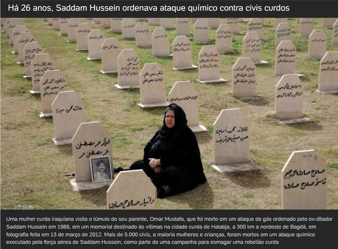 Dom_Tarugo tweet media