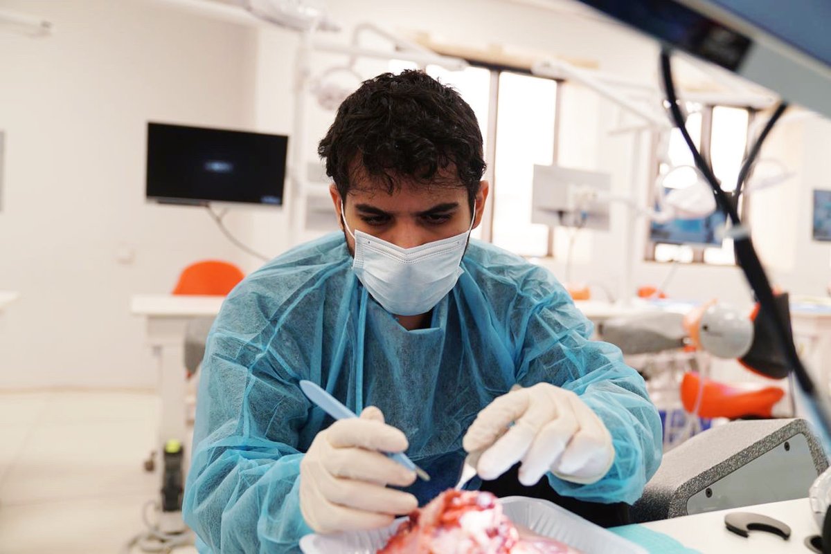 خدمات طب الأسنان tweet media