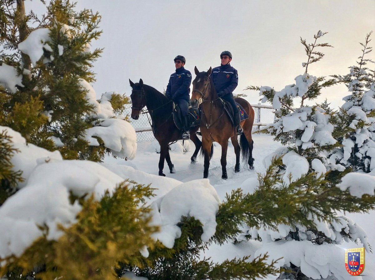 Van İl Jandarma Komutanlığı emrinde görevli Atlı Jandarma Timlerimiz, Edremit Dönemeç Deltası’nda kaçak avcılığın önlenmesi amacıyla devriye faaliyetlerine devam ediyor.🏇

📍Van

#Jandarma
#JandarmaAsayiş
#JAKEM