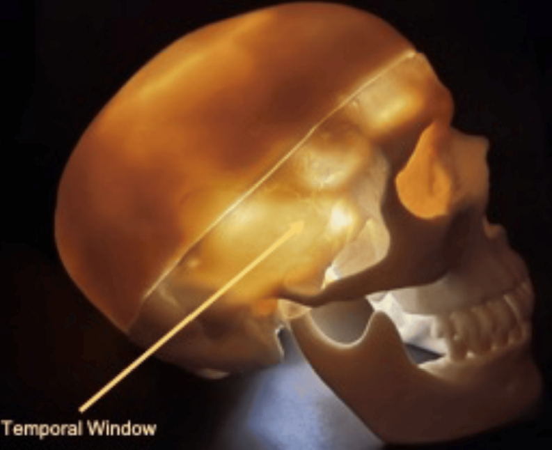 Mohan Sai Gudela, DM tweet media