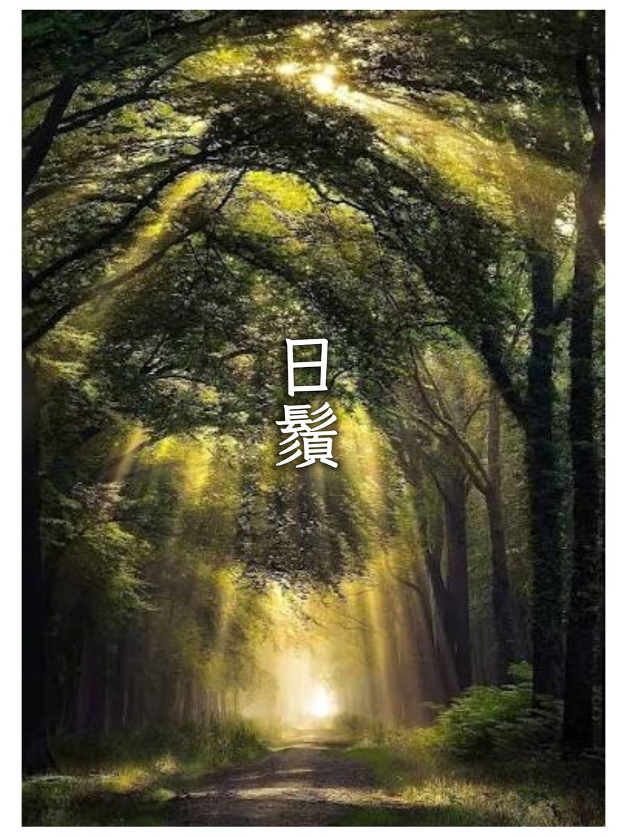 好美的台語，現在才知道。 1、日花2、日鬚日語「木漏れ日」，意思是日頭從樹枝、樹葉、軁縫之間，照射出來的光影。 3、大日虎：日頭熾熱