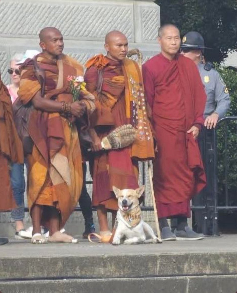SpockResists's tweet image. The monks on the "Walk for Peace" carry a Native American eagle feather fan as a powerful symbol of interfaith solidarity, respect for Indigenous cultures, and a shared commitment to peace, environmentalism, and justice, bridging Buddhist principles with Indigenous values for a