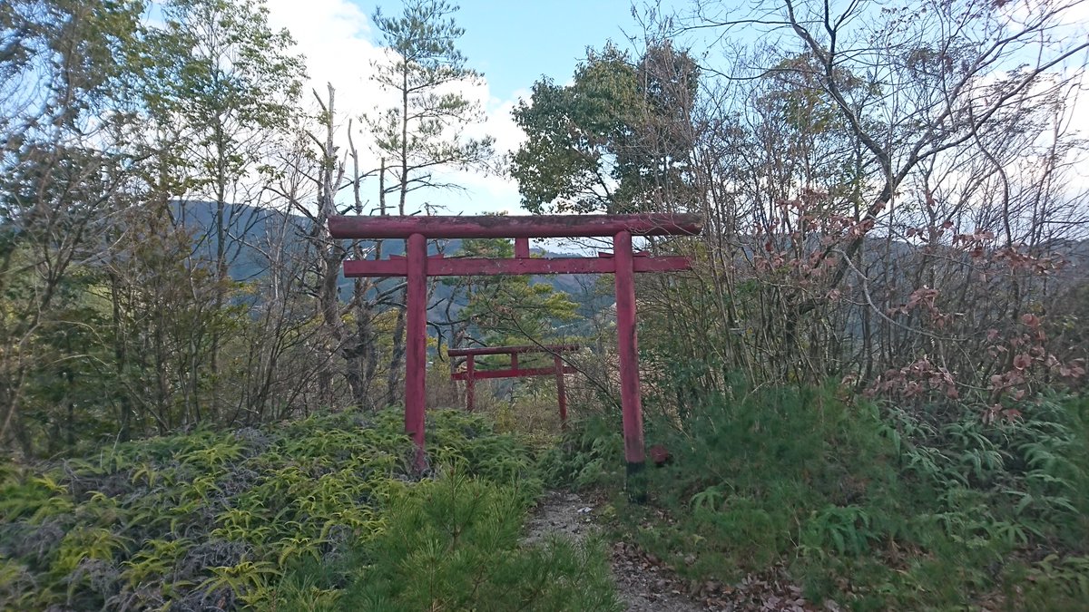 Finally managed to perform hatsumode after a long, exhausting and intense new year period at the ryokan.

I always come here for it because I can absolutely guarantee I will be alone.