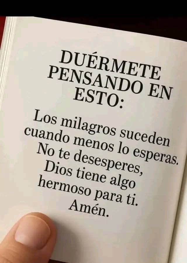 fernando garcia (@fernand81566062) on Twitter photo 