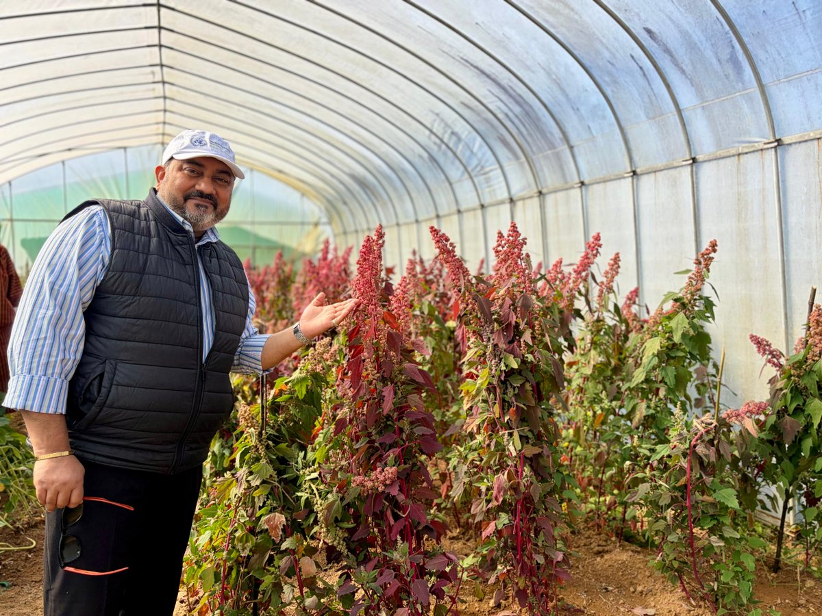 Gaurav Ray tweet media