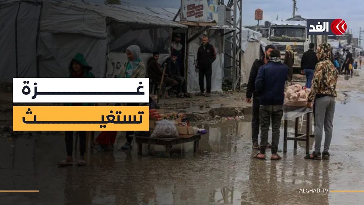 الناس بحاجة إلى كل شيء.. نداء عاجل من غزة: المساعدات لا تكفي و95% من السكان يعتمدون عليها 