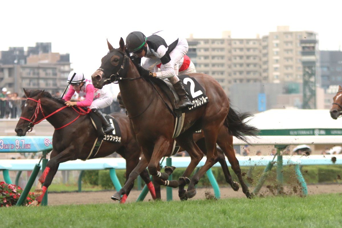 転入初戦でGⅢ2着🏇】 中山11R第42回 #フェアリーステークス〔GⅢ〕に