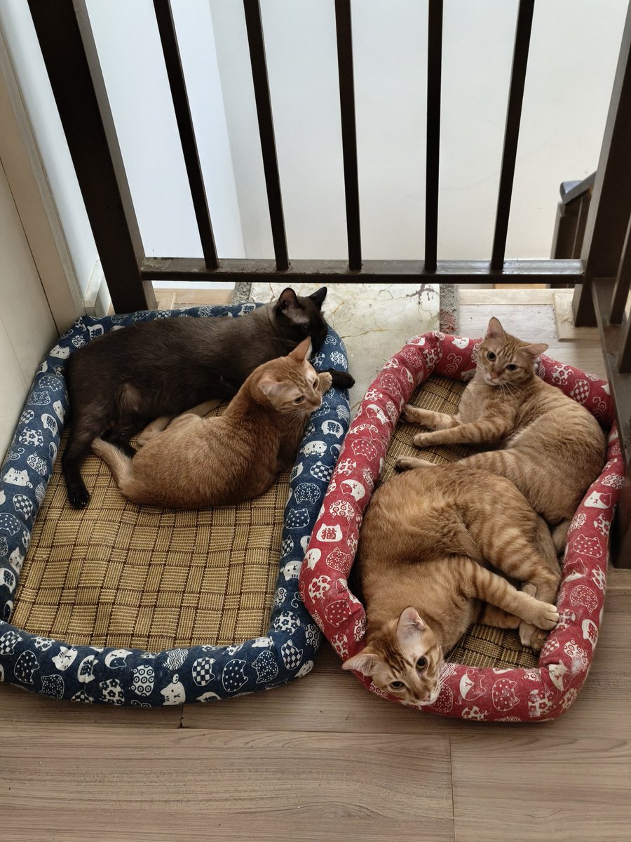 แบ่งพรรคแบ่งพวกสุด ..