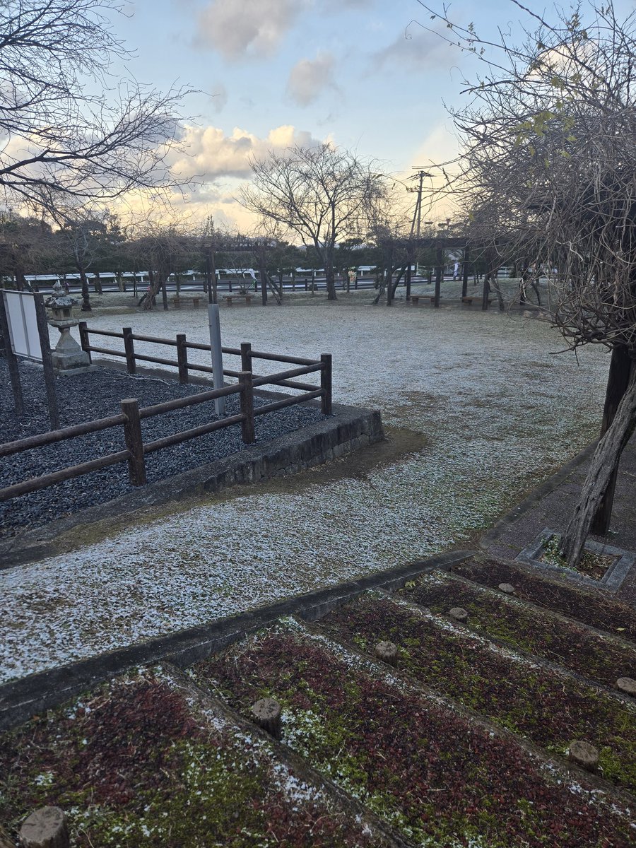 財田久々にきたら、雪やんけ！