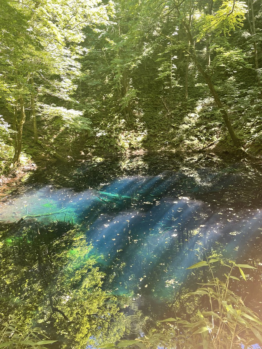 もののけ姫』 - ここがパンチライン！（本とか映画、ときどき新聞）, image size:900x1200