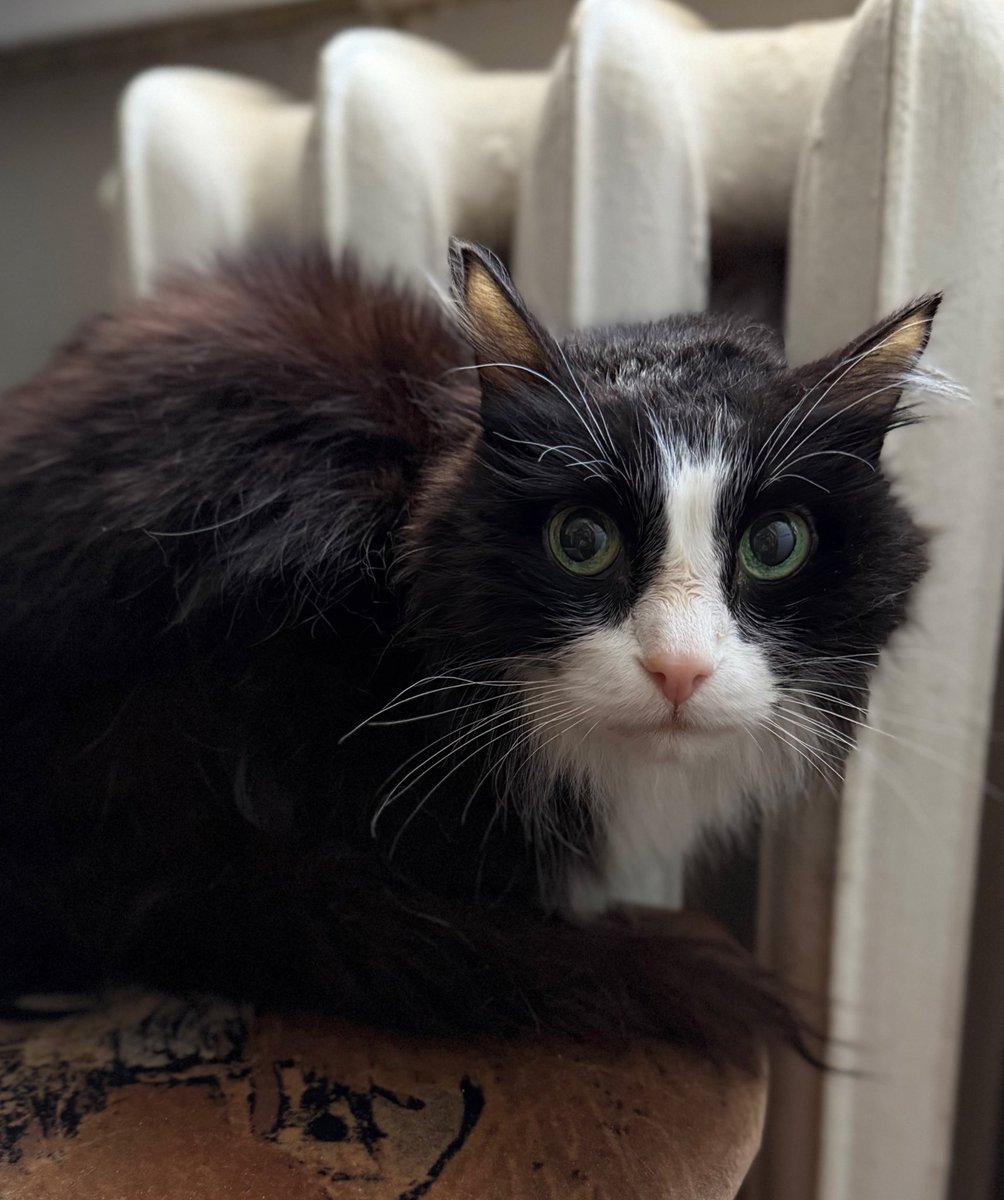 verinykresla's tweet image. Помыли деда 
Дед затаил обиду