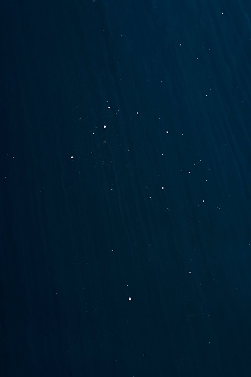 マネークリッパー吉沢 tweet media