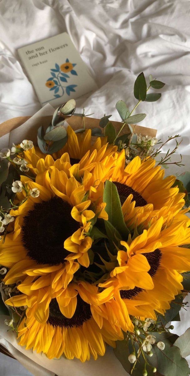 SUNFLOWER 🌻 (@sunflowerchives) on Twitter photo 