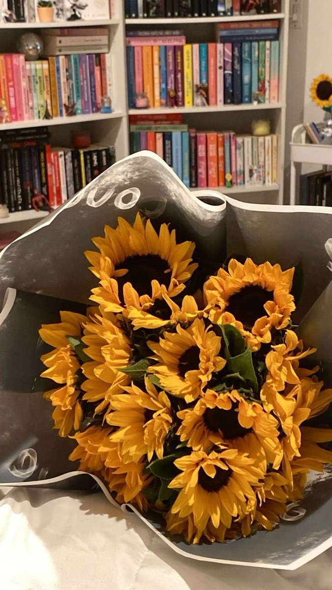 sunflowerchives's tweet image. 