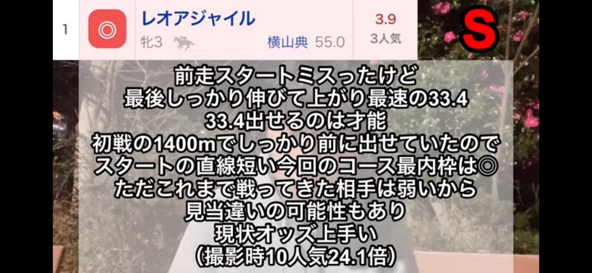 kawachinkawa's tweet photo. 有馬記念でコスモキュランダ(12人気111.5倍)推して
京都金杯でショウナンアデイブ(18人気133.7倍)3番手評価で
フェアリーSでレオアジャイル(11人気36.0倍)本命にしてるやつえぐいて https://t.co/DRyP052G1M
