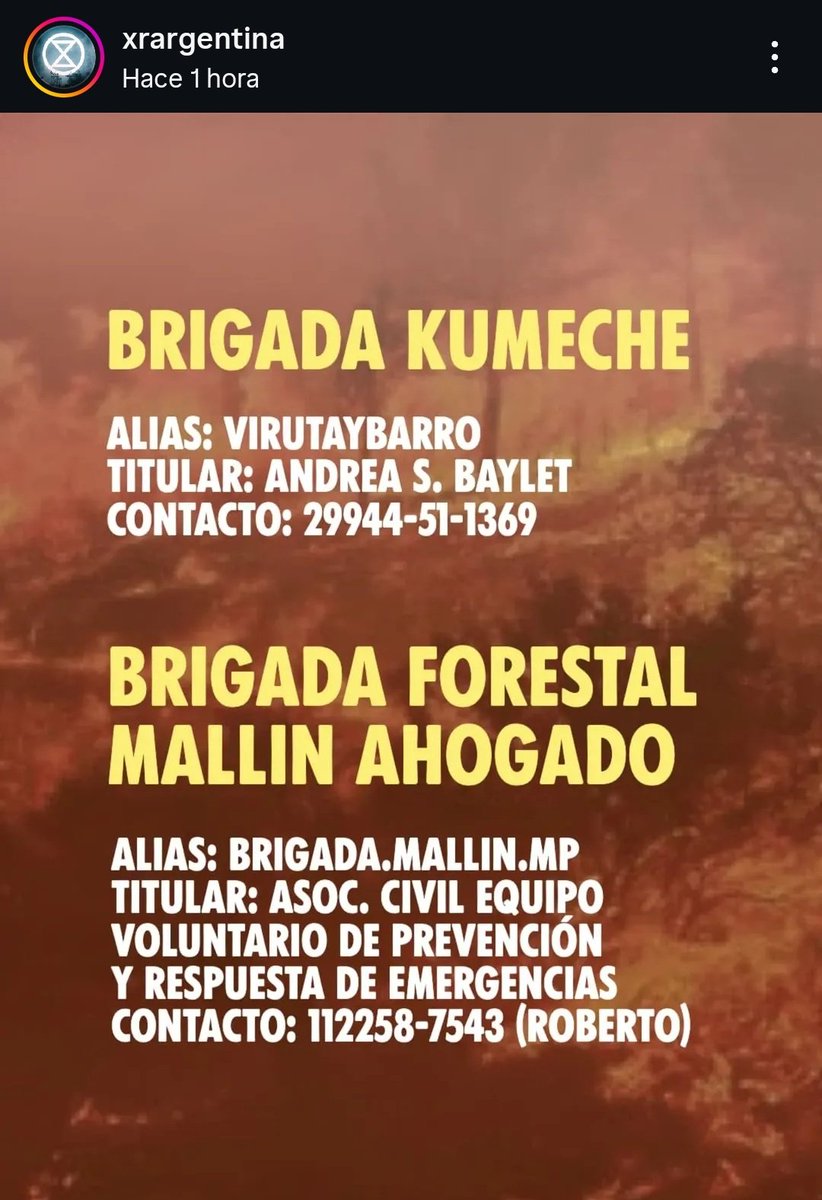 Ally 💜 tweet media