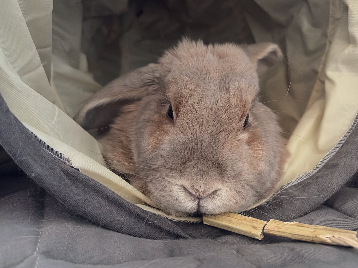 시나몬 가루 냄새 날 거 같아 쮸아아아아압