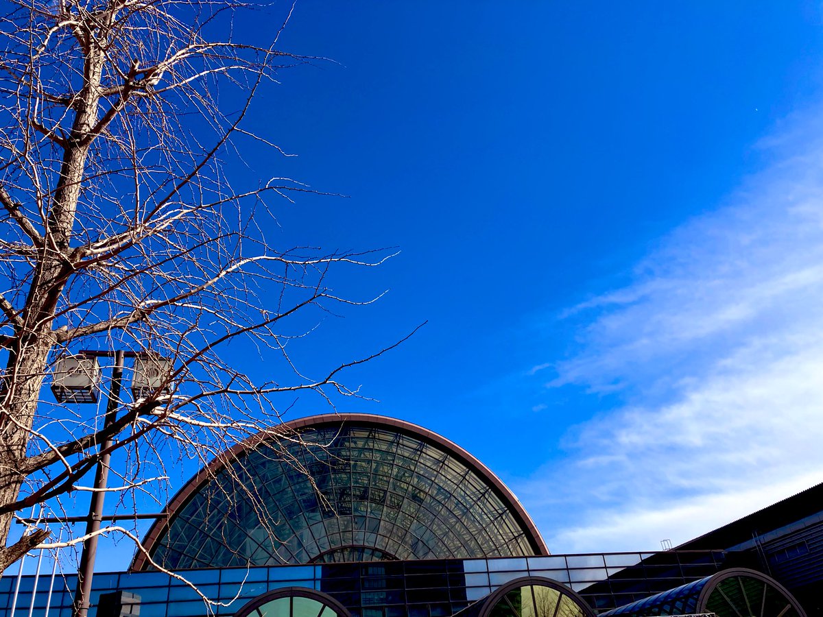 インテ一般参加でした。ありがとうございました！
いつも現地に到着するまで、めっちゃ緊張する……。
強風で鳥が飛ぶ……どころか、流されていたのが印象的でした。