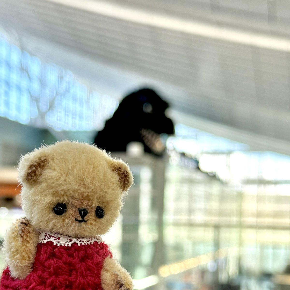 ぶんちべあ (@buncho900) / Posts / X