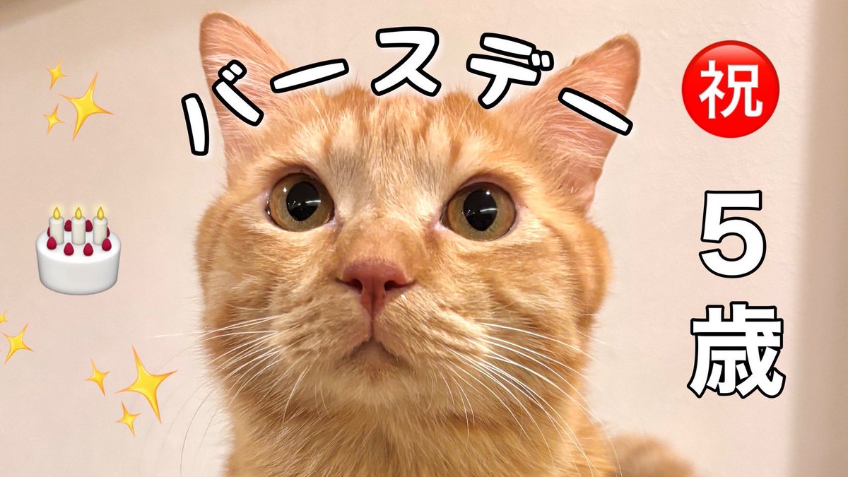 つなまよ tweet media