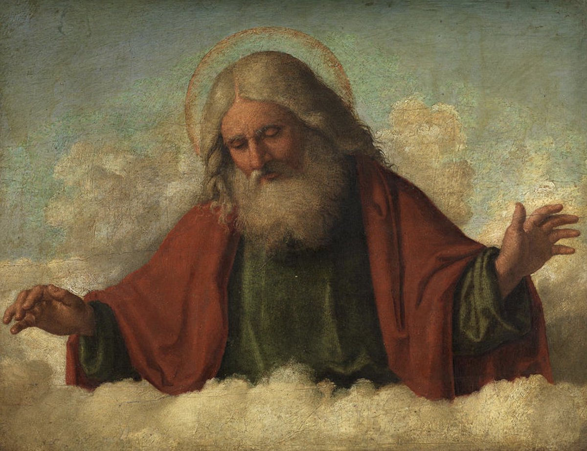 dsulz50's tweet image. 