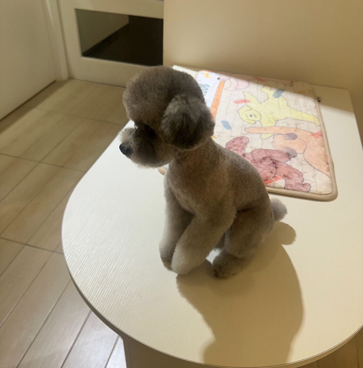 화수은화 (@snsd_0805) on Twitter photo 