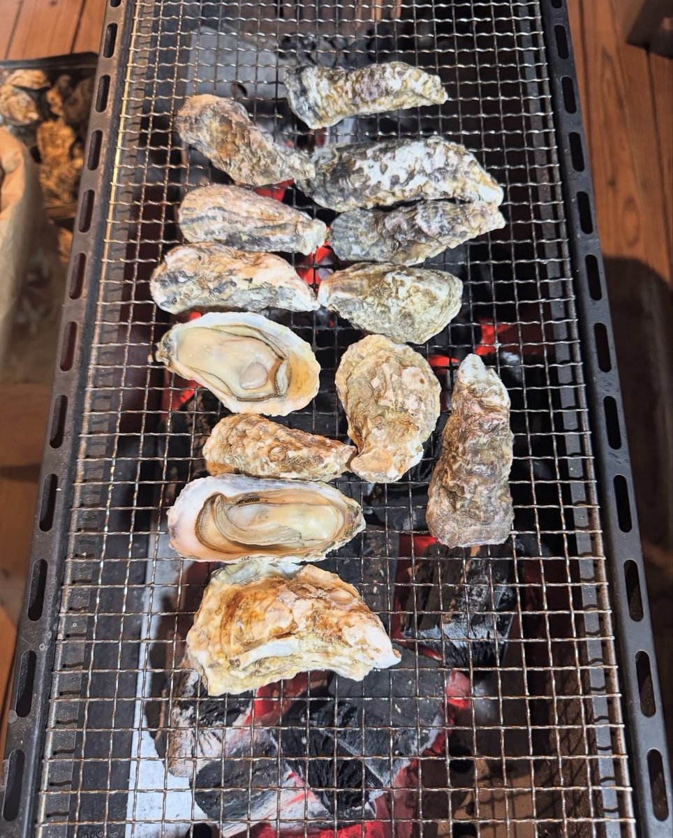 HyeseongKimMuse's tweet image. Yoshinobu Yamamoto went fishing 🎣