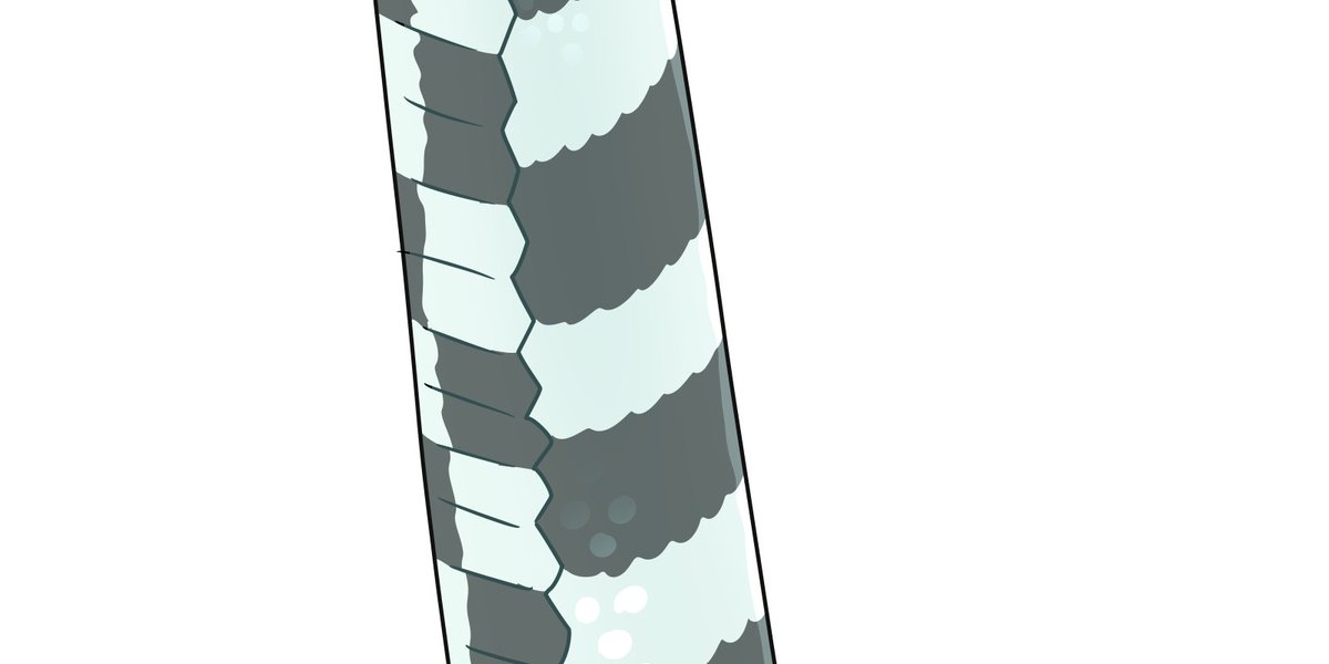 isb9898's tweet image. New trend? 🐍