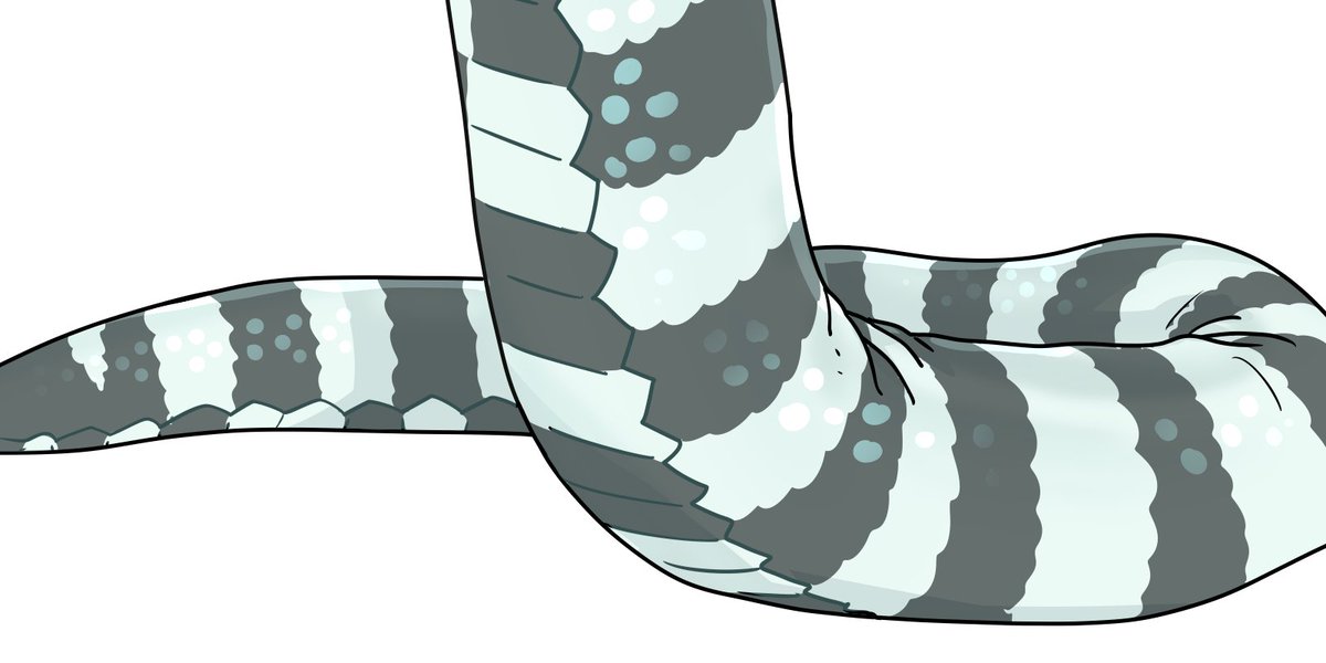 isb9898's tweet image. New trend? 🐍