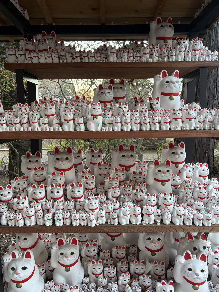 吉田棒一 tweet media