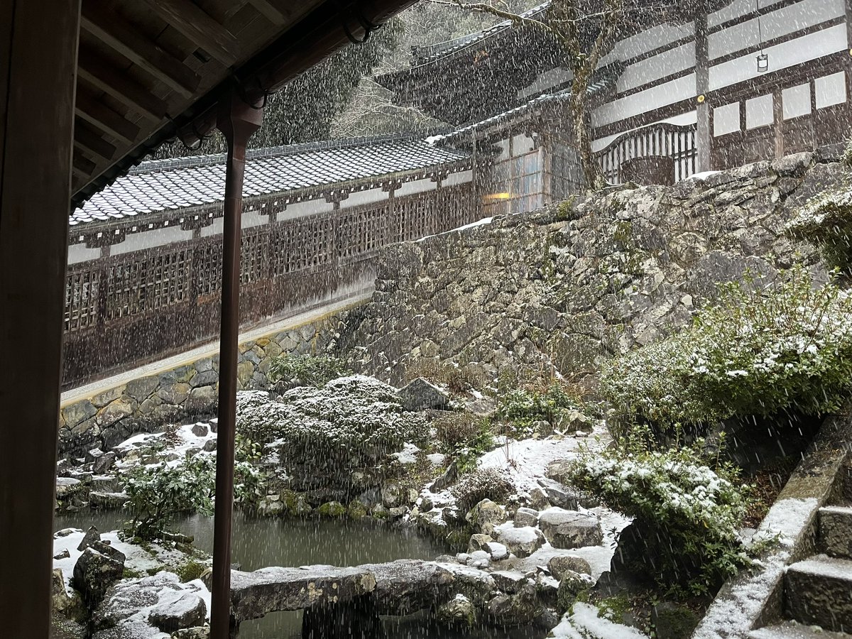 みぃ姉 tweet media