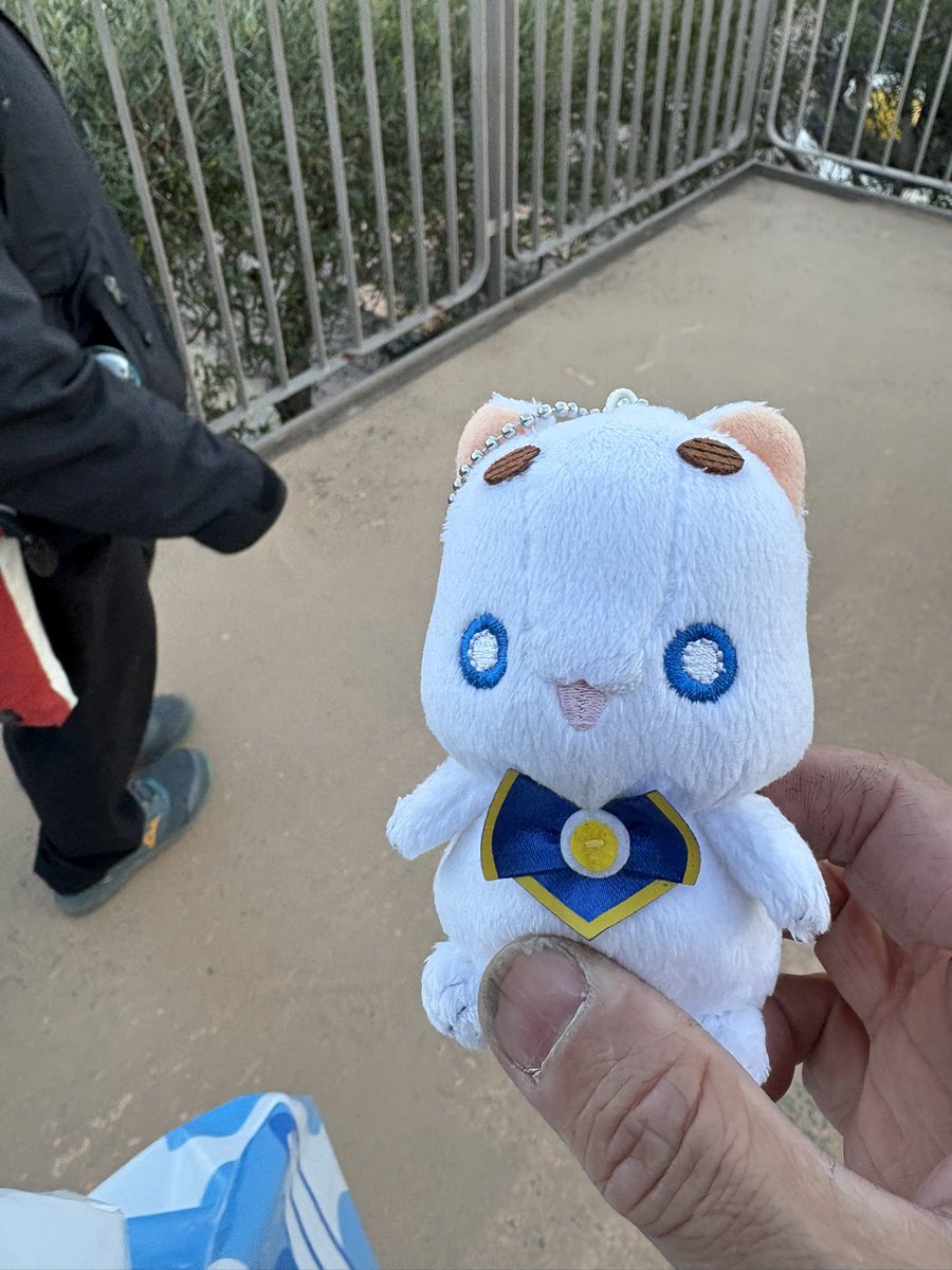 シーパラ内てアリア社長の小さいぬいぐるみを拾いました