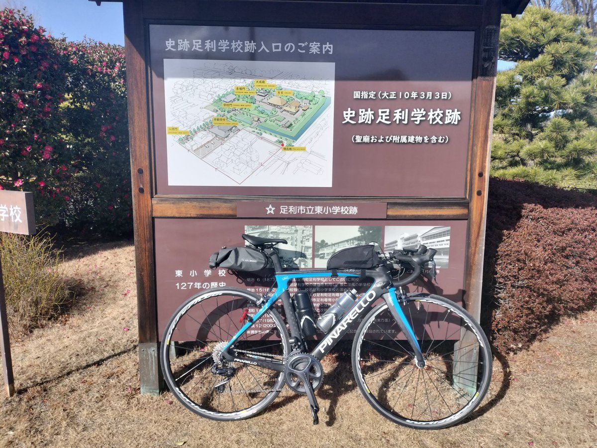 AJ宇都宮さん主催のBRM307SL300kmに無事エントリー出来ました👍✨
と言うわけで、今日も爆風の中、ブルベ練115km行って来ました🫡