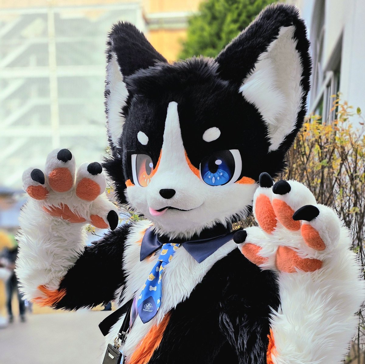 JMoF2026 #furmony