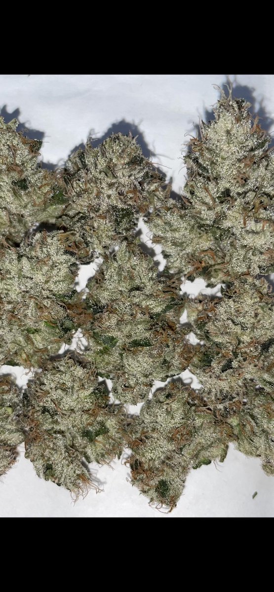 WriteWeed tweet media