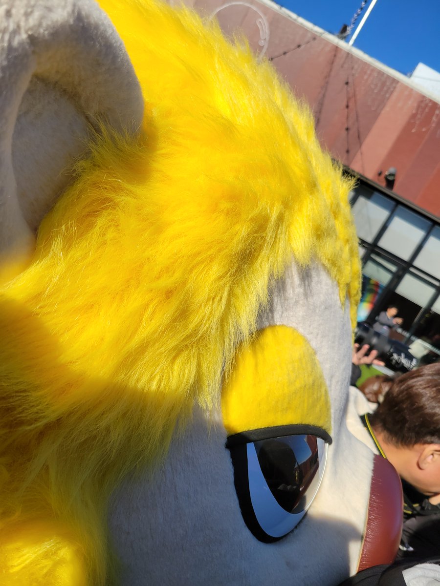 まりも (@l3rWyJ3ujPmRCyj) / Posts / X