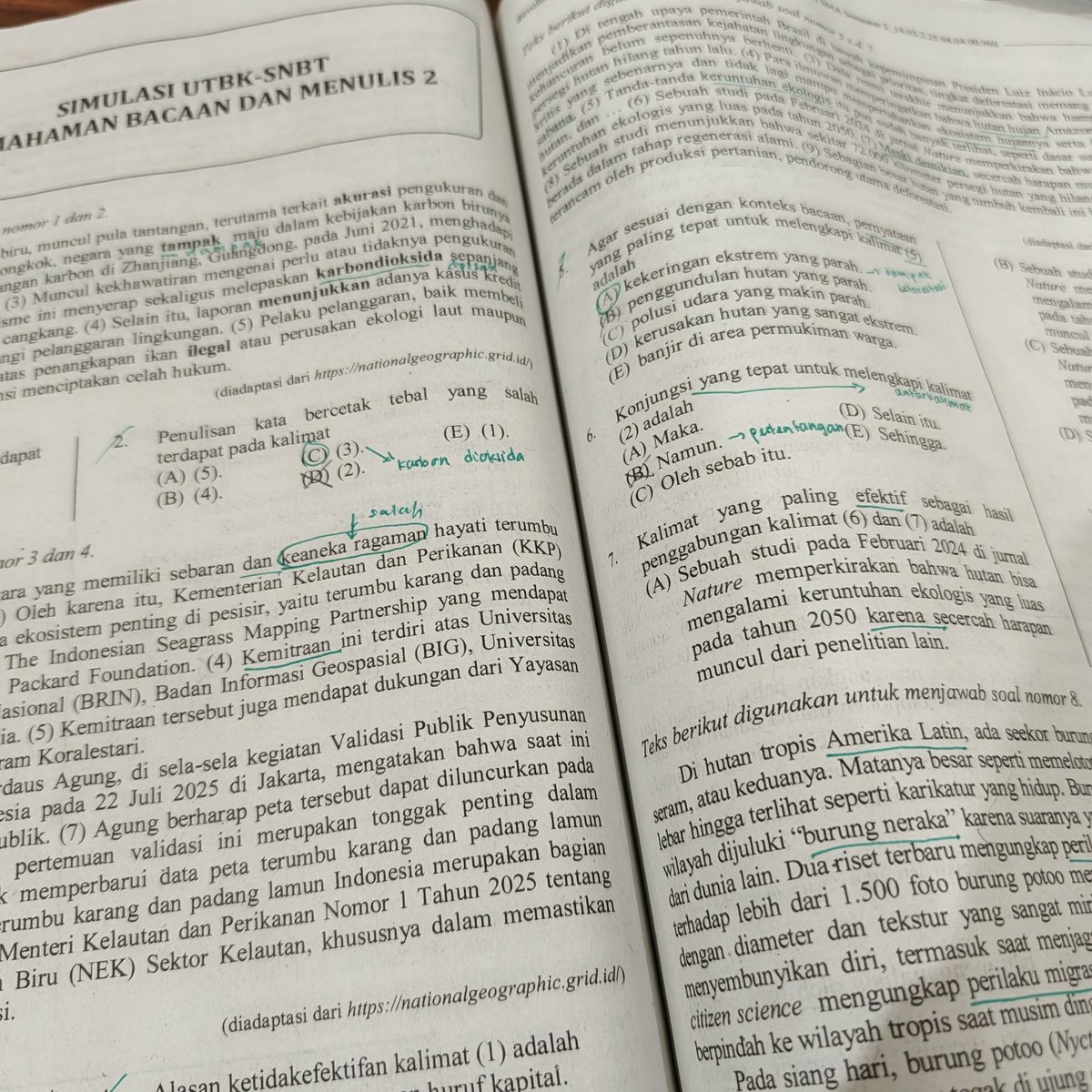 kaf²⁶ tweet media