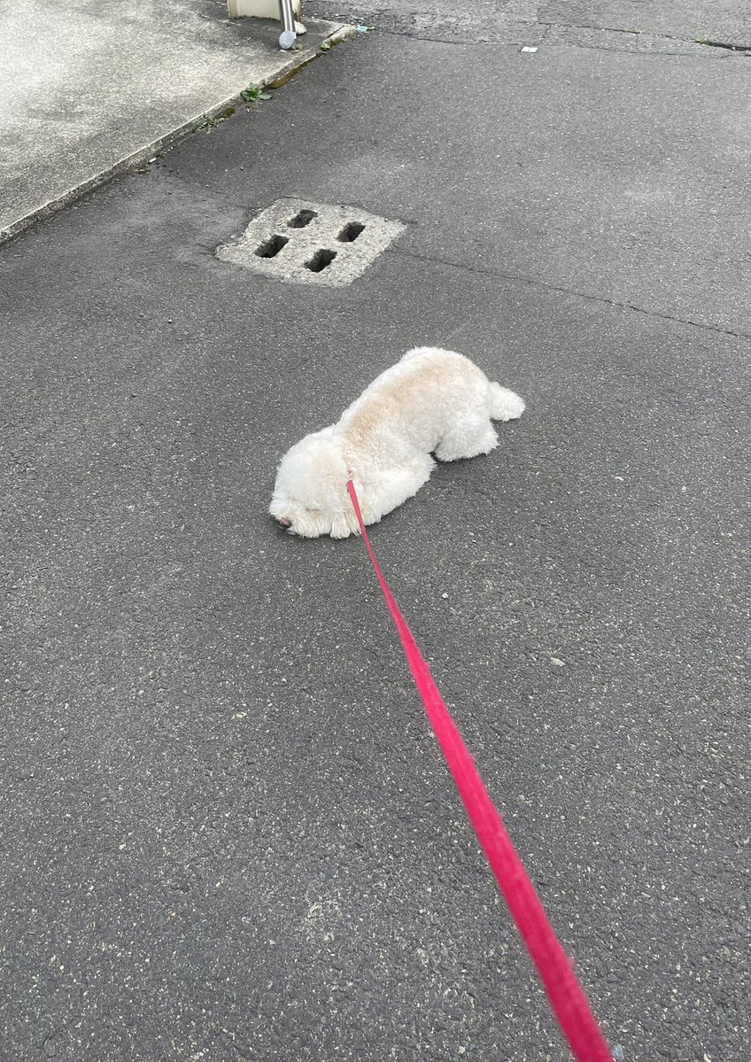 おみす様用(⁠ノ⁠◕⁠ヮ⁠◕⁠)⁠ノ⁠*⁠.⁠✧ Fantia更新したよ！🛁見てね