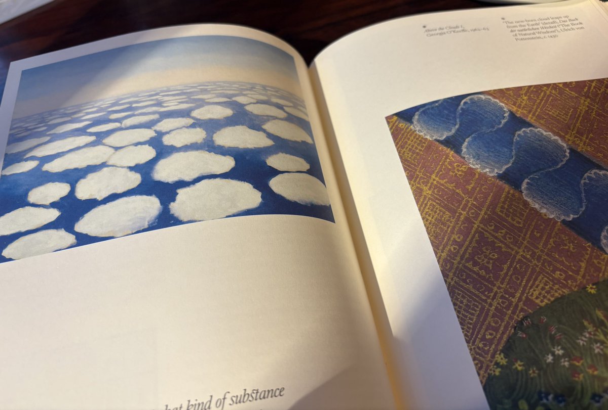 Kagami_Ryuji's tweet image. 鋭意制作中！火地風水空のエレメントをめぐるイマジネーションの博物誌。春には出したい！一目惚れして日本に紹介したかった本。